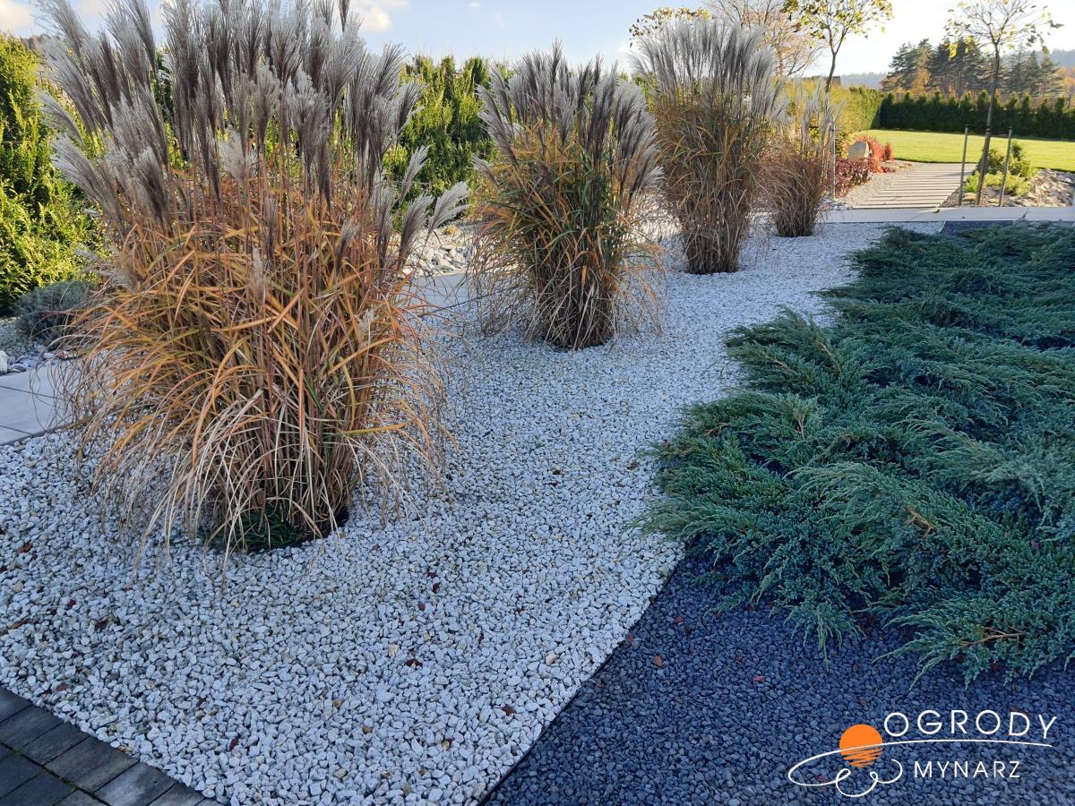 roślinne kompozycje fot 4